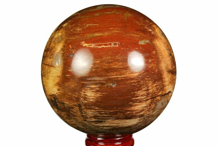 Colorful Petrified Wood Sphere - Madagascar #169136